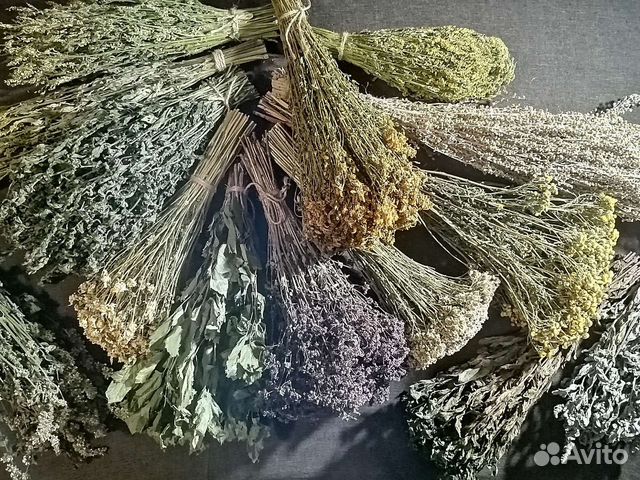 Травы. Грибы. Ягоды. Чага. Сбор 2023