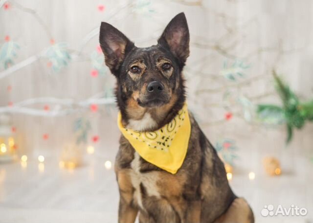 Василиса Прекрасная очень ждет свою семью