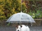 Зонт для собаки DogBrella