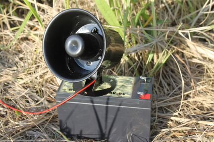 Манок акивный динамик