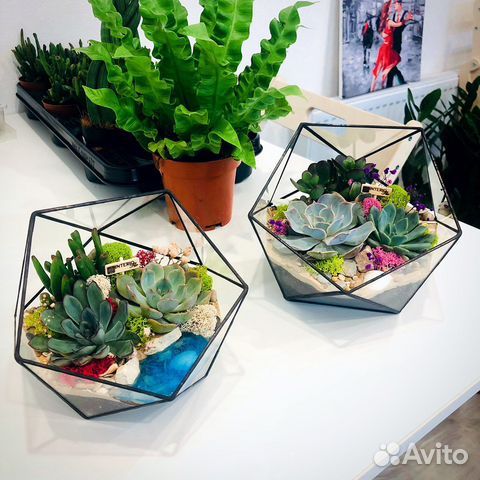 Флорариумы в наличии