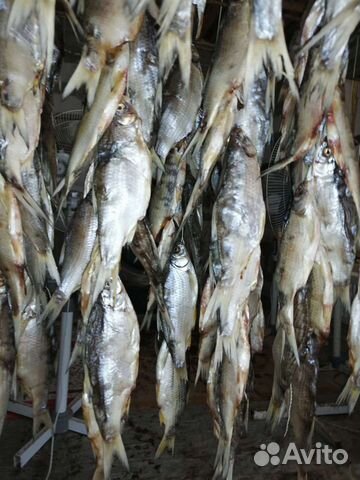 Тарань жирная вяленая