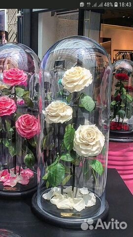 Колба стеклянная, купол, клош