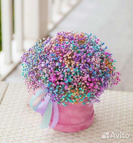 Гипсофила в большой цветы букеты доставка спб