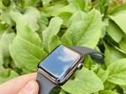 Часы apple watch 3 42mm оригинал объявление продам