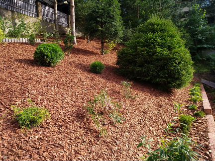 Мульча из коры лиственницы и сосны