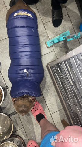 Комбенизон на собаку