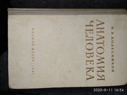 Анатомия человека