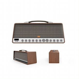Комбоусилитель для гитары Soundking TG10D