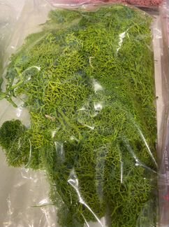 Цветной ягель