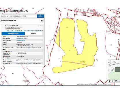Публичная кадастровая карта нижегородской области дальнеконстантиновский район