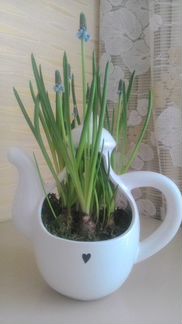 Керамический декоративный чайник