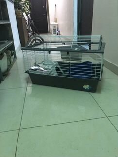 Клетка для морской свинки