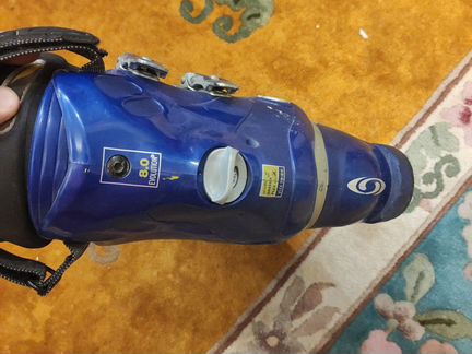 Горнолыжные ботинки