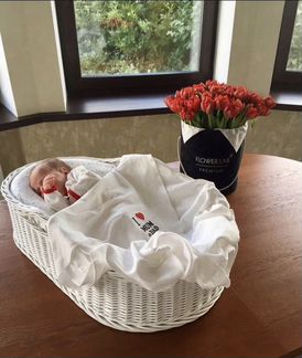 Кокон Comfortbaby с плетёной корзиной
