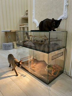 Террариум для рептилий