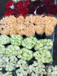 Цветы розы оптом розница доставка