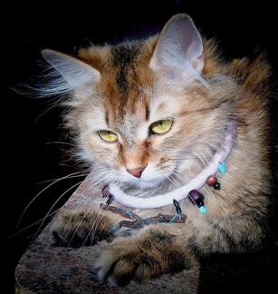 Валяное колье с говлитами и веточкой. Hand made