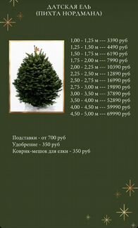 Ель Датская