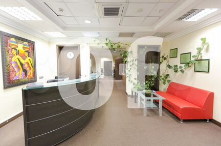 Сдам офисное помещение, 255 м²