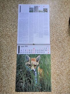 Календарь живая природа за 1991 г