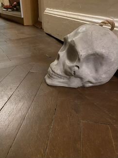 Череп держатель для двери