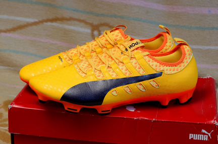 Бутсы evopower Vigor 2 FG (puma)