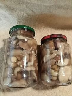 Грибы маслята, подберезовики-подосиновики маринова