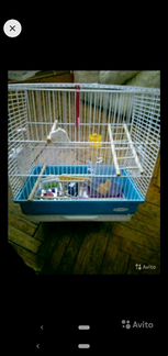 Клетка для птиц