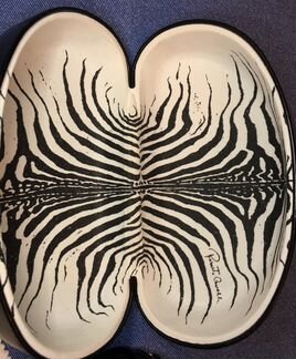 Очки roberto cavalli