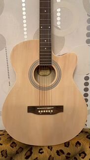 Акустическая гитара Elitaro L4020 N