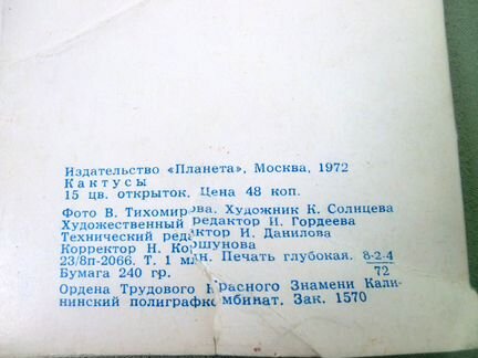 Кактусы. Набор открыток